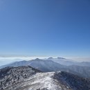겨울이 이미지