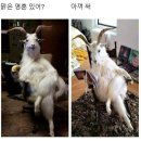 레이지 포 | 10월 연휴의 대구 여행기