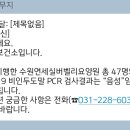 코로나 바이러스 전수검사 결과보고 이미지