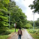 추산다람쥐마을 | [울릉도 여행] 울릉도 가볼만한곳/ 울릉도 유일한 평지 ‘나리분지’ 방문 후기