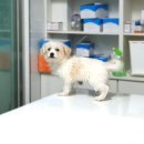 현암2길 이미지