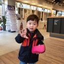 렌즈미&에비뉴 안경 이미지