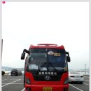 올에이여행사 Daum카페