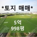 판곡농장 네이버블로그