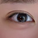 교동초 앞 | [공지] 강릉 속눈썹펌은 여기, 진짜 여기, 정말 여기!!! &lt;웬디브로우&gt; 노글루 틴트케라펌