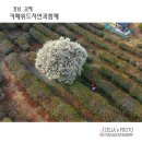 카페위드 - 성남시 수정구 위례광장로 12 | 카페위드