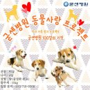 동물사랑병원 이미지