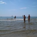 비치라민박 이미지