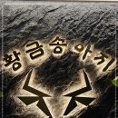 황금송아지 이미지