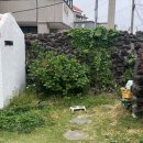 금호1가동 주민센터 공유부엌 | [제주 숙소]제주 가족여행 부모님이 반한 감성독채숙소 ‘이디완’ 내돈내산 후기
