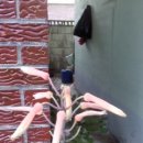 비금도한옥 이미지