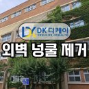 넝쿨 | 대전 외벽청소 담쟁이넝쿨 제거 작업 후기