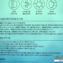 삼삼코퍼레이션