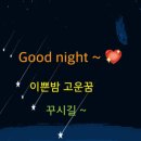 워시앤팩토리 네이버블로그
