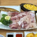 대자 | 회기, 2025년 마지막 푸드 대방어 맛집 대방어 대자 후기 [바다생협 대광어 동대문본점]