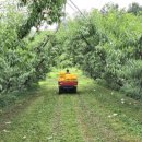 도도1농장 이미지