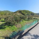 각남면사무소 이미지