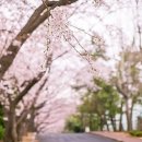 개성고등학교 이미지