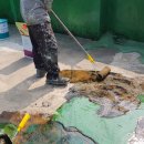 부평안다미로 이미지