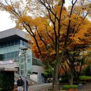 생활요가 3반 이미지