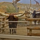 신동훈농장 이미지