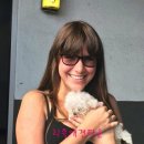 리틀애견타운 이미지