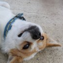 초현펜션 이미지