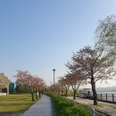 로제호텔 | 경기도 호텔 추천 AC 호텔 금정 루프탑 수영장 오픈 AC 비노 패키지 후기