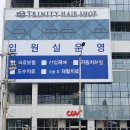 인하대역CGV타워 | 용현동 인하대역 미용실 [153트리니티헤어샵]에서 염색하고 투블럭컷트한 후기