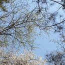 3.1.공원 이미지