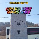 임자로 이미지