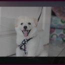 금호강하중도 | 금호강하중도 여행 후기: 자연 속에서의 평화로운 여정