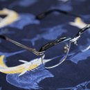 루카스안경 이미지