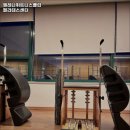 엘레나휘트니스클럽 이미지