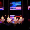 f1오토캠핑장 이미지