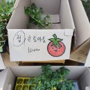 진주팜농약 이미지