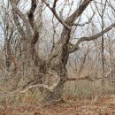 농협원대동 이미지