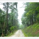 충북알프스자연휴양림 이미지