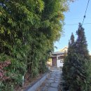 비스트로 이미지