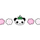 케이엔커피 이미지