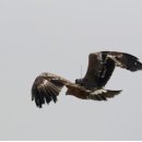 초원태양광 이미지