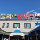 둘리왕새우