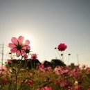 신구목욕탕 이미지