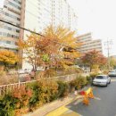 행신로311번길 Daum카페