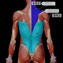 리즈핏 PT 이미지