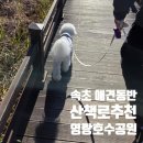영랑호수공원 | [속초]영랑호수공원 애견동반 산책 후기｜뷰 좋은 산책로 찾는다면 여기!