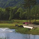 선운골프존 이미지