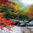 JIRI VALLEY 이미지