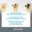 친절한홍치과 이미지
