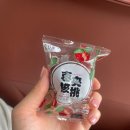 [온라인투어 장가계 패키지] 장가계 4박 6일 일정&lt;4, 5일차&gt;